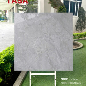 Gạch 100x100 TS.9801
