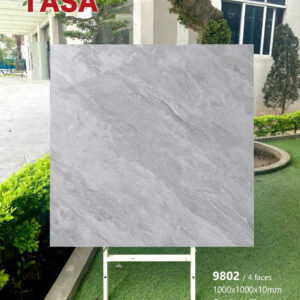 Gạch 100x100 TS.9802