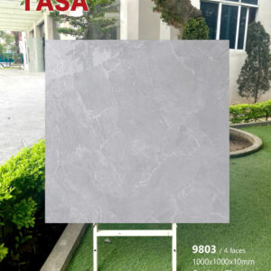 Gạch 100x100 TS.9803