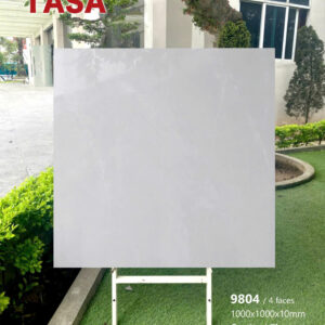 Gạch 100x100 TS.9804