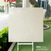 Gạch 100x100 TS.9806