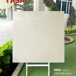 Gạch 100x100 TS.9806