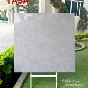 Gạch 100x100 TS.9807