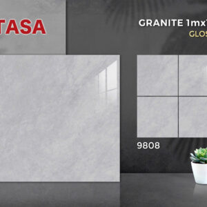 Gạch 100x100 TS.9808