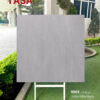 Gạch 100x100 TS.9901