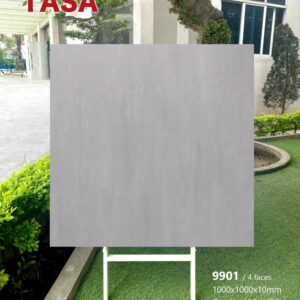 Gạch 100x100 TS.9901