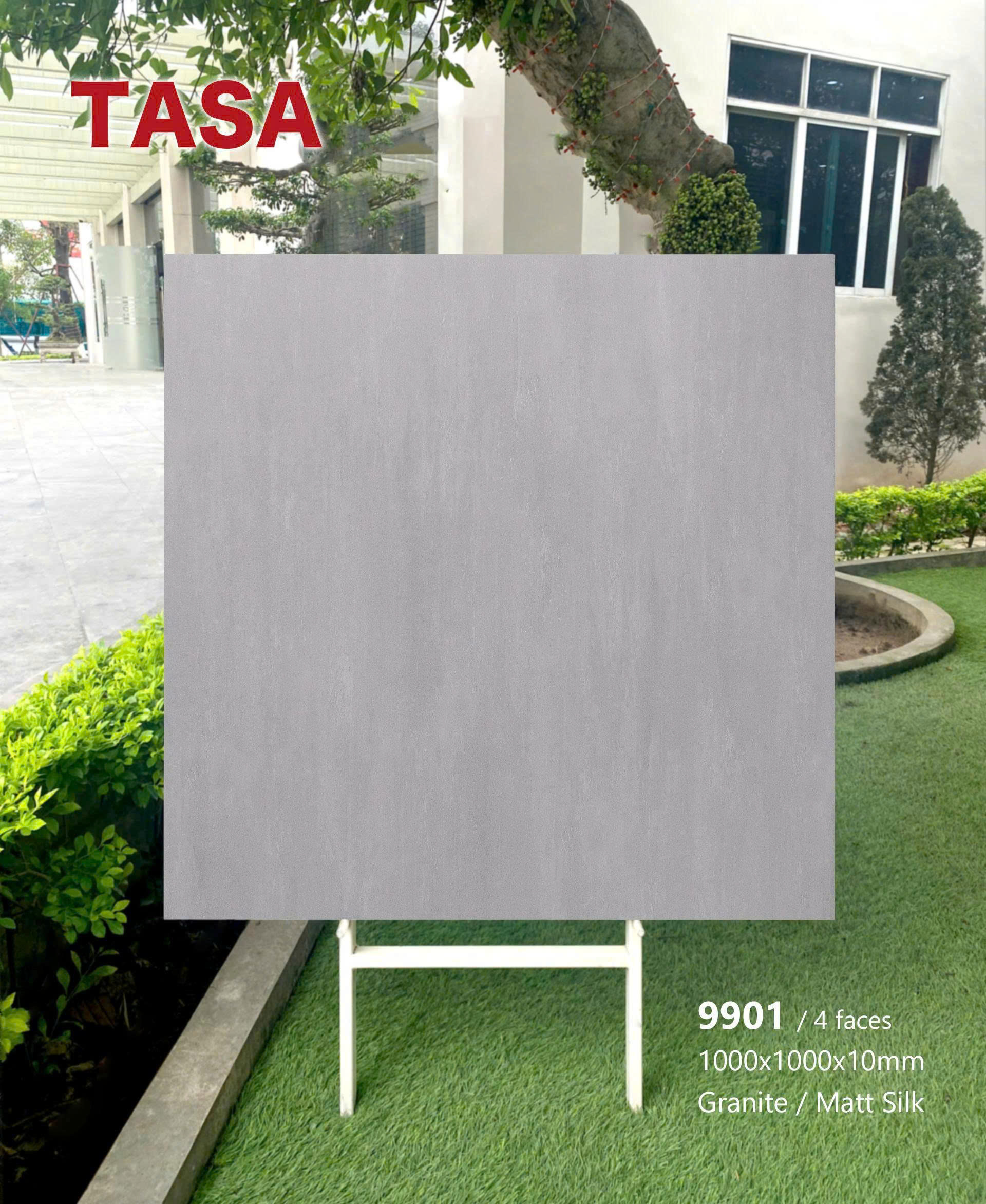 Gạch 100x100 TS.9901