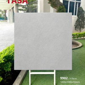 Gạch 100x100 TS.9902