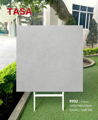 Gạch 100x100 TS.9902