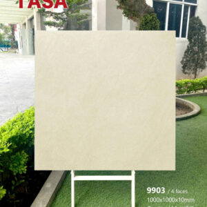 Gạch 100x100 TS.9903
