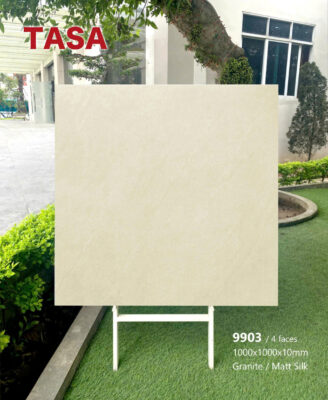 Gạch 100x100 TS.9903