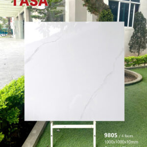 Gạch 100x100 TS.9905