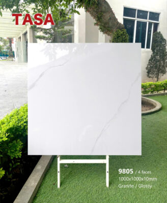 Gạch 100x100 TS.9905
