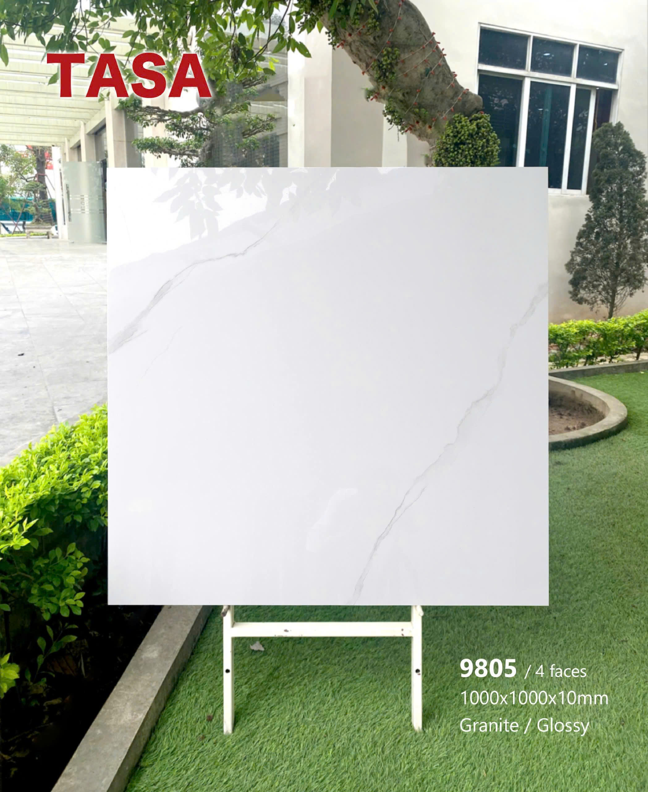 Gạch 100x100 TS.9905